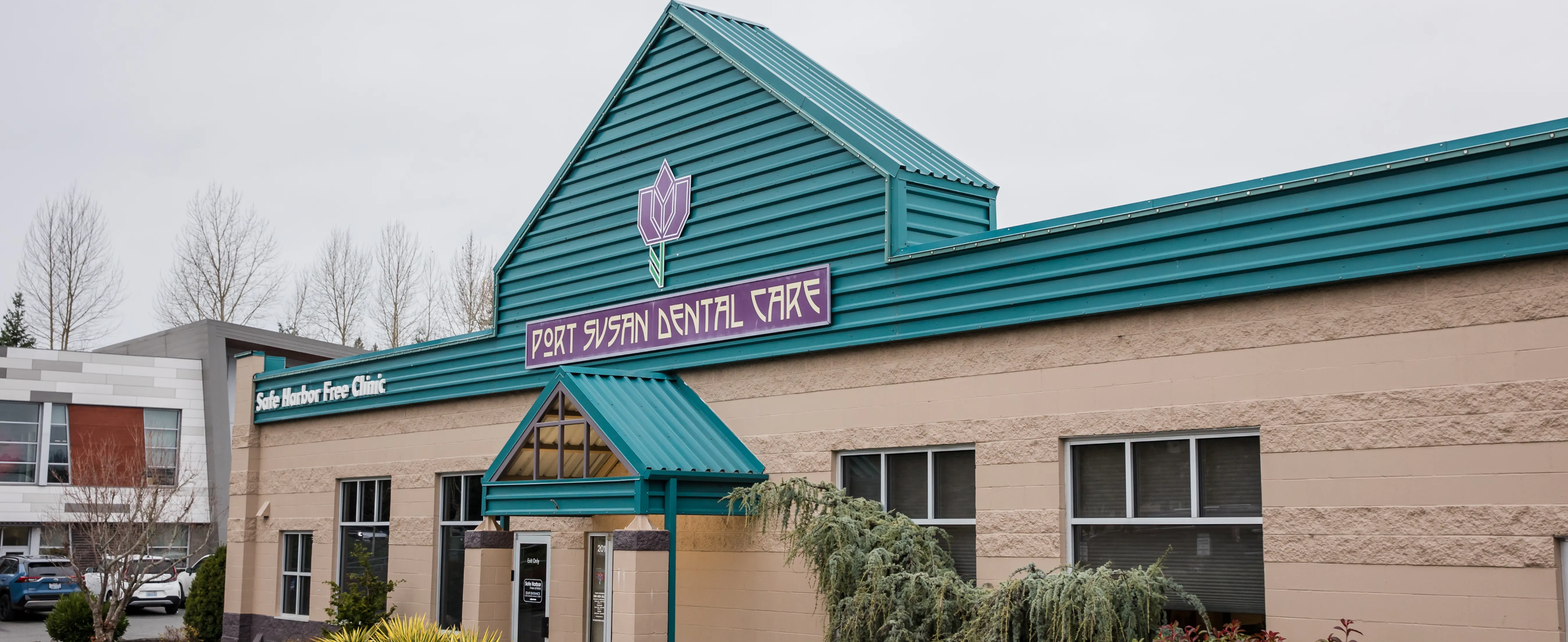 A beautiful field of tulips